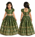 Banarasi Silk Ghagra Choli