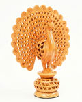 PEACOCK DANCING UNDERCUT