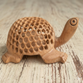 TORTOISE UNDERCUT